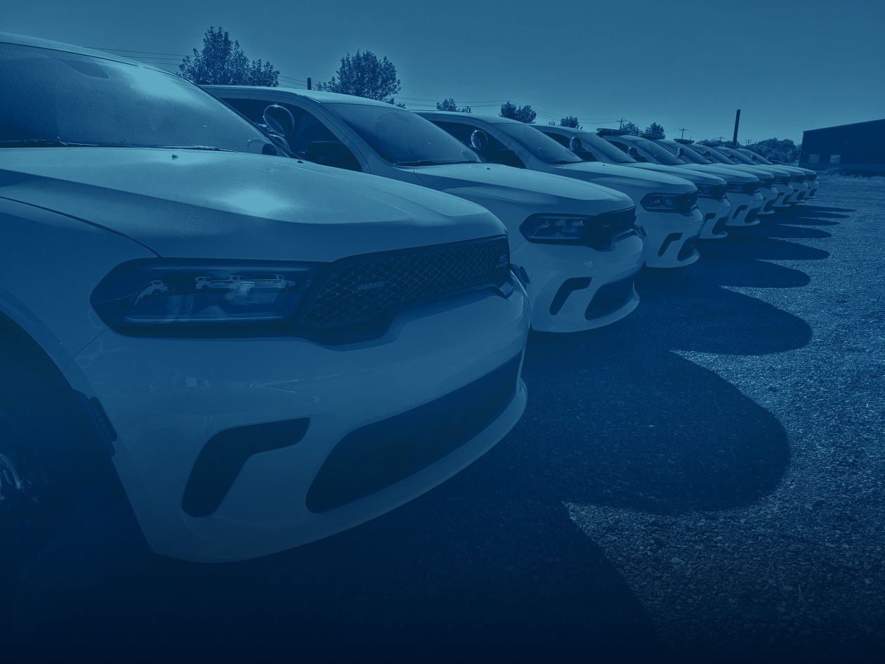 Row of police vehicles lined up at the shop